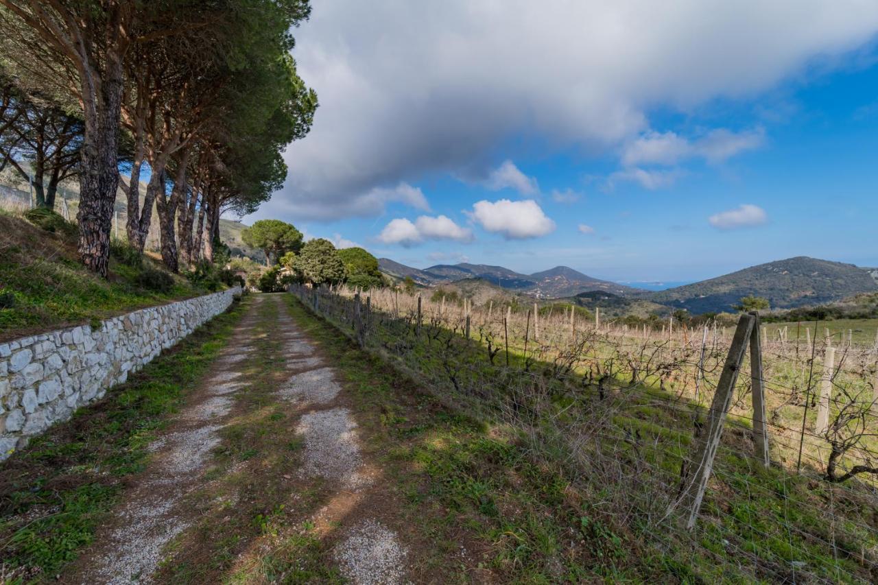 Villa Campo Al Pero Rio Marina Eksteriør bilde